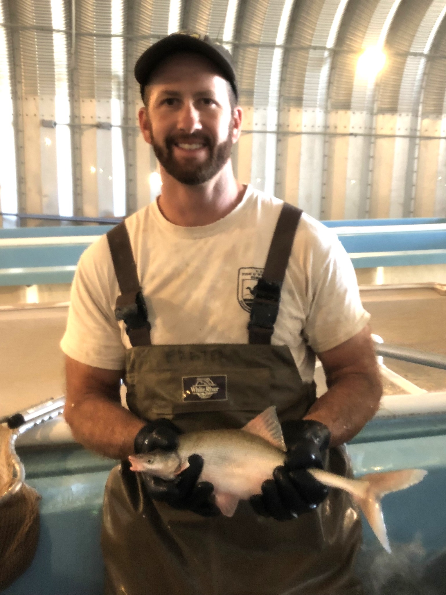 Willow Beach National Fish Hatchery - After fish are grown out to size ...