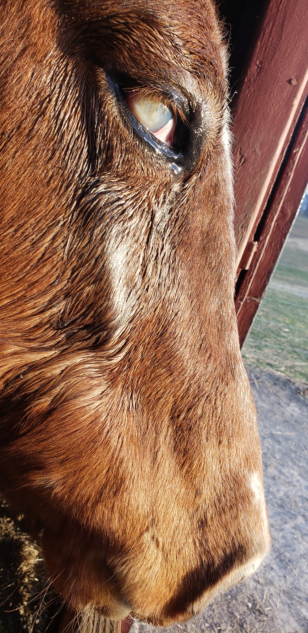 Cross Arrows Ranch