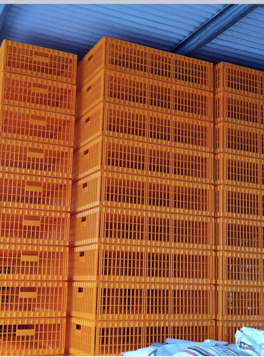 C.Ramdial poultry and feed depot