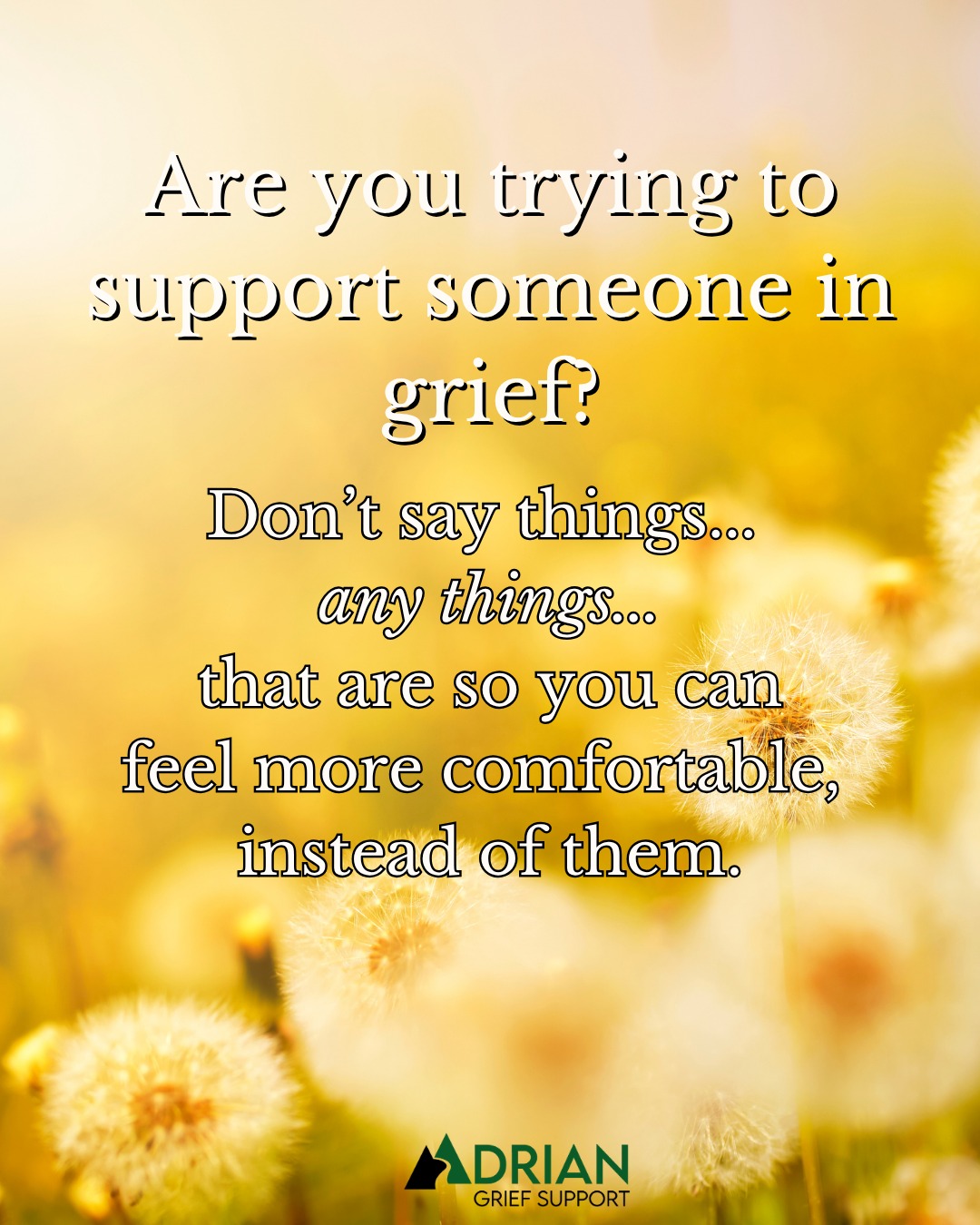Adrian - When someone is grieving, please do not say things just to ...