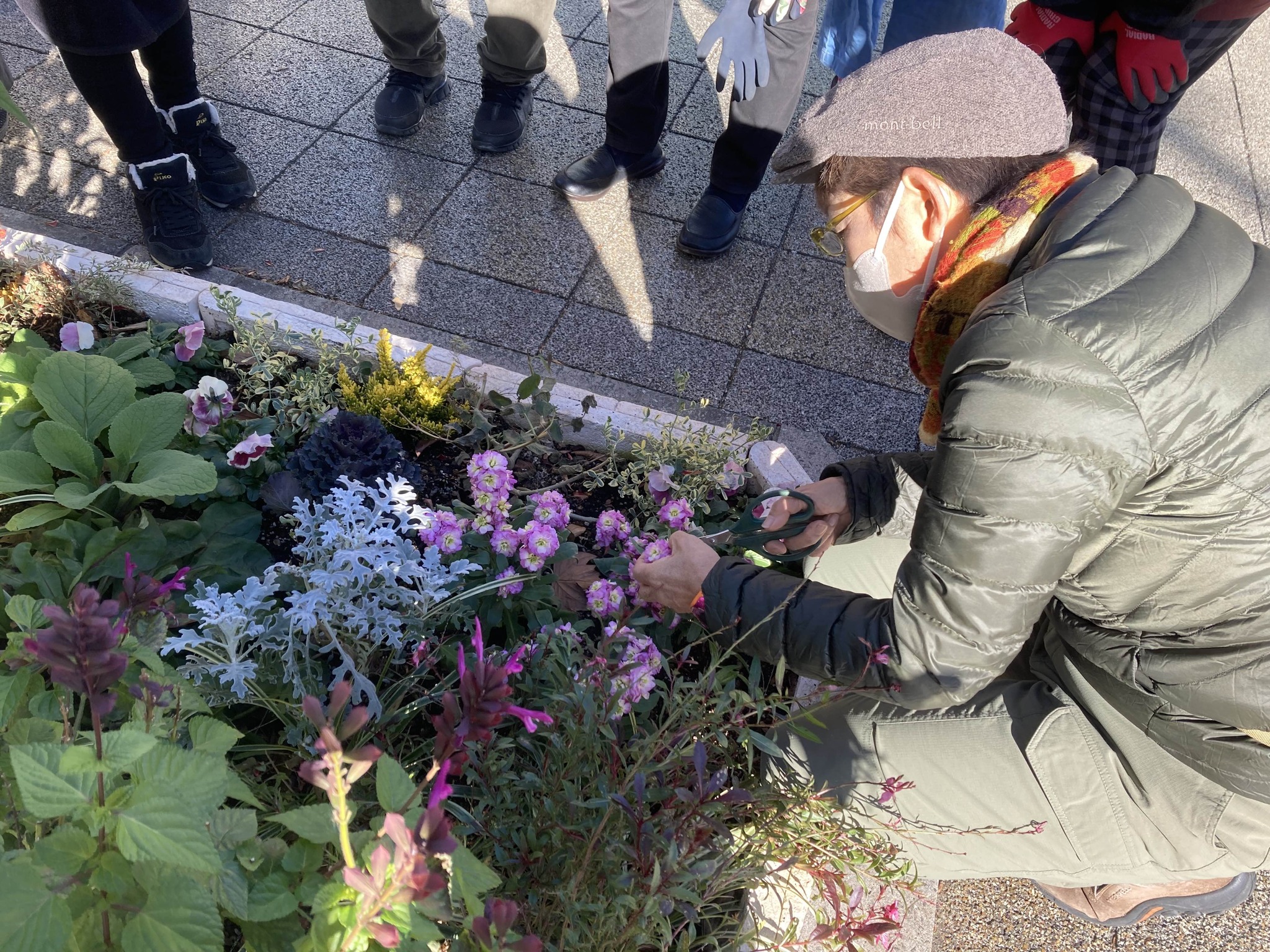 花がら摘み Explore Facebook