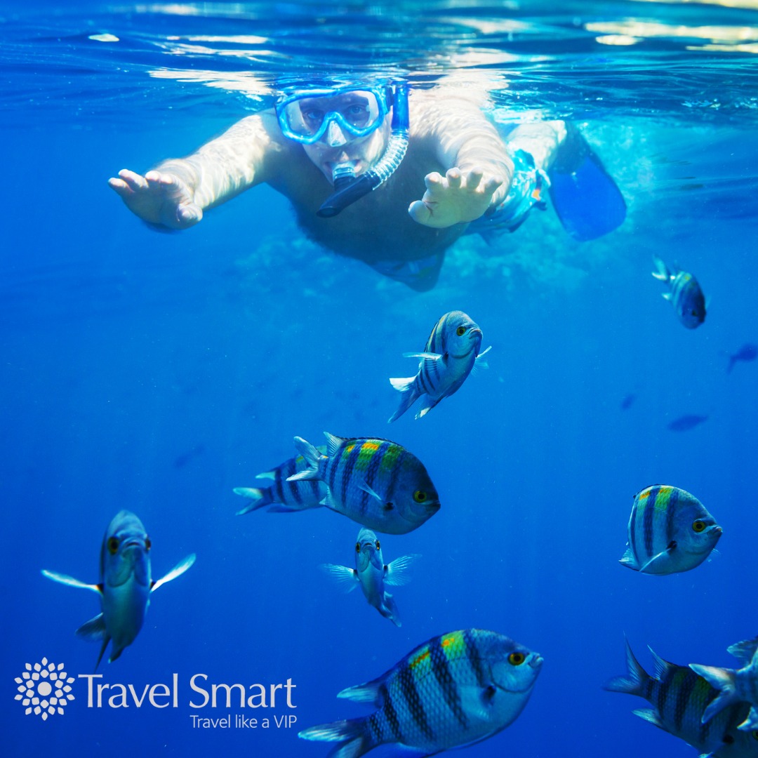 TravelSmart - Ready for some adventure? 🌴🌊 Complement your next ...