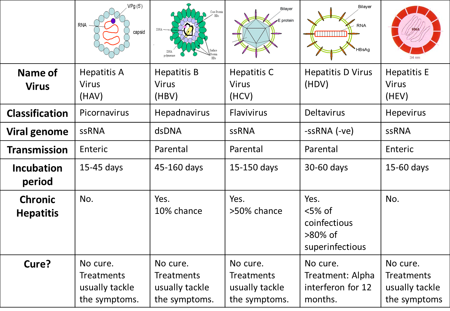 Microbe Notes - Comparative chart of Hepatitis A, B, C, D and E ...