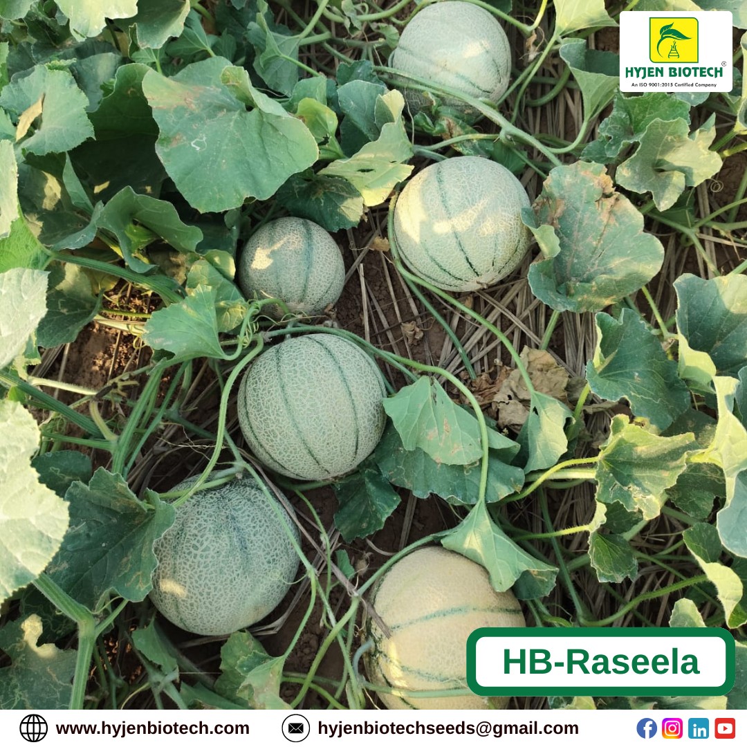 Hyjen Biotech | Mohali