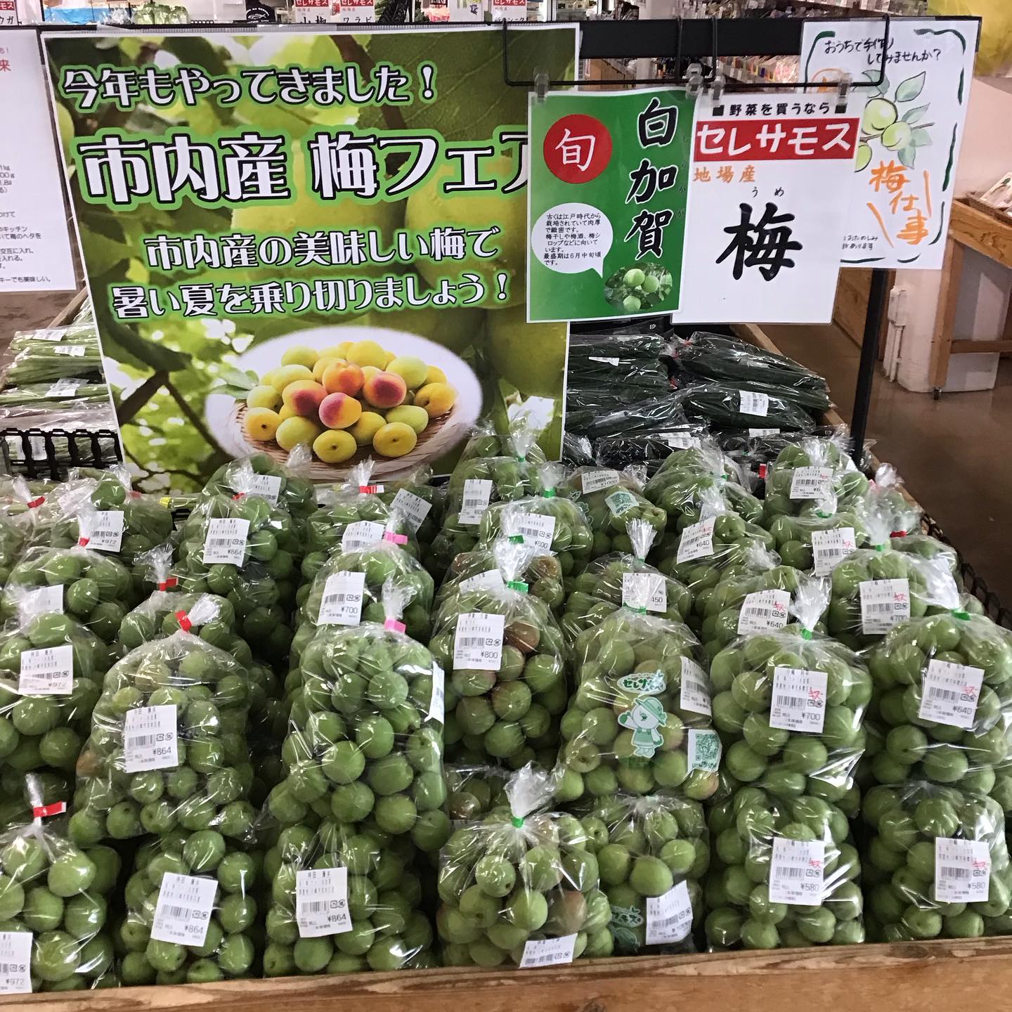 おはようございます😃 5月24日土曜日、セレサモス宮前店です
