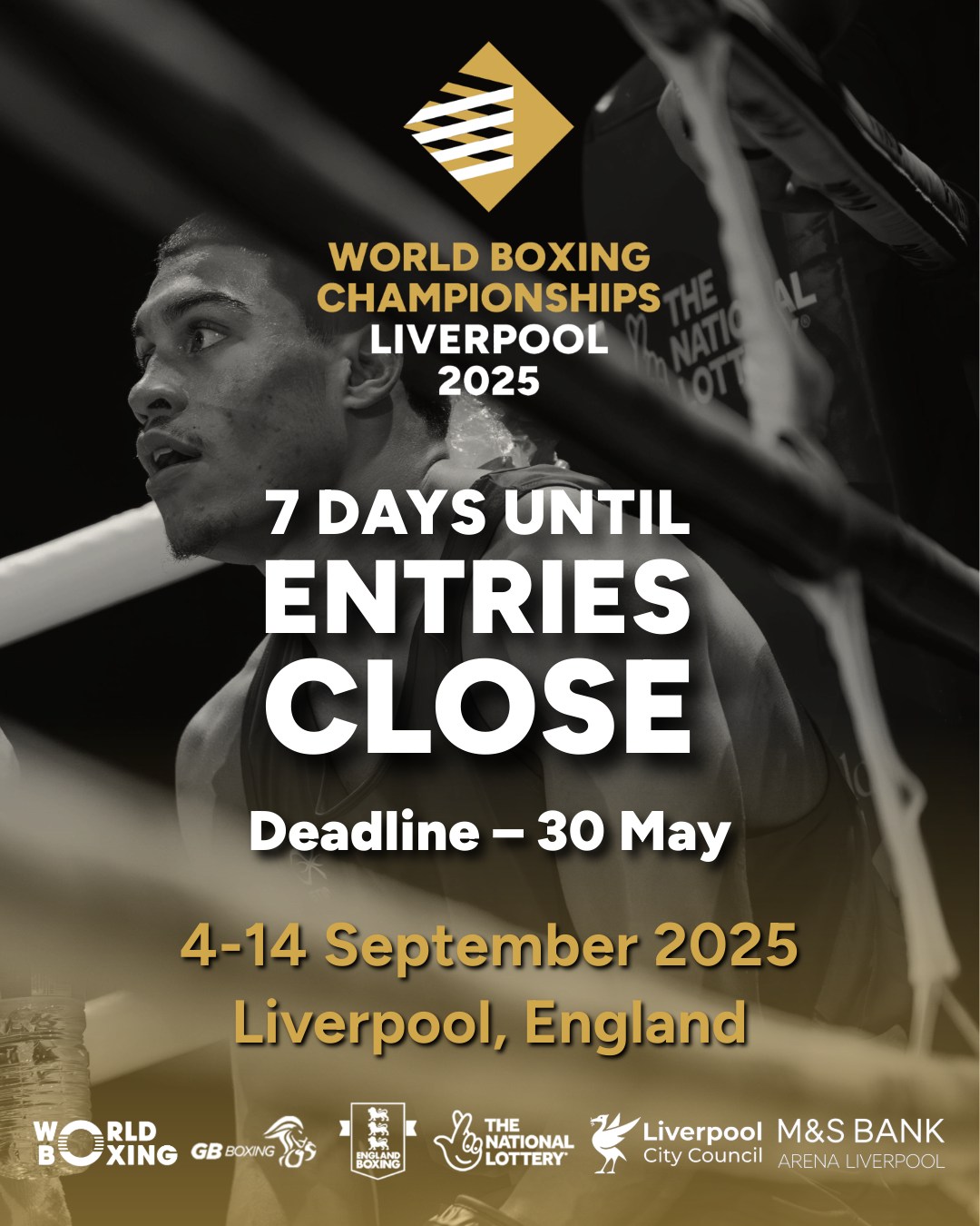WORLD BOXING