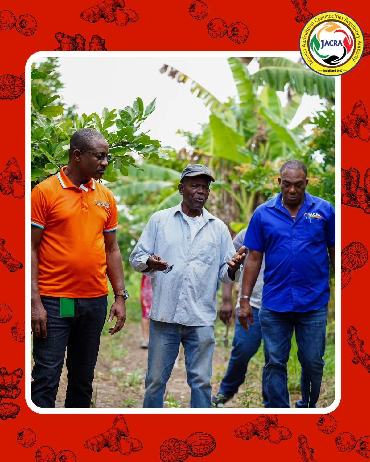Jamaica Agricultural Commodities Regulatory Authority - JACRA | Kingston