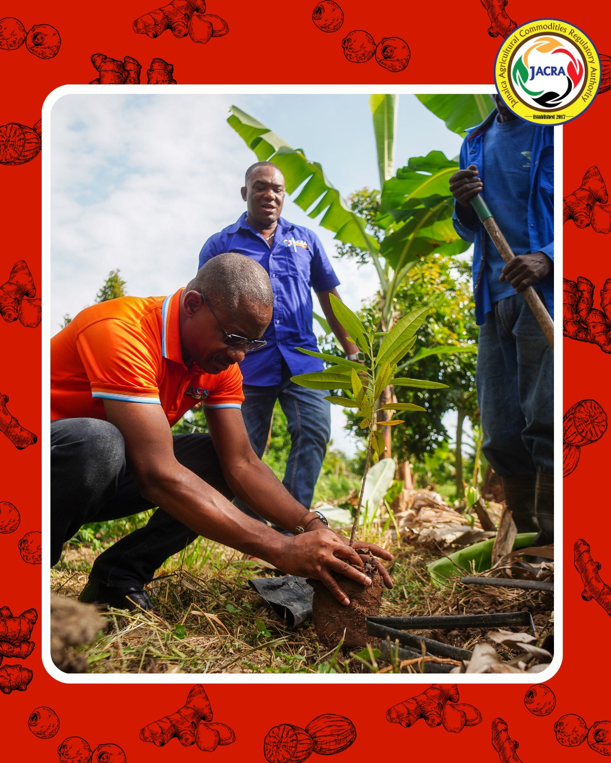 Jamaica Agricultural Commodities Regulatory Authority - JACRA | Kingston