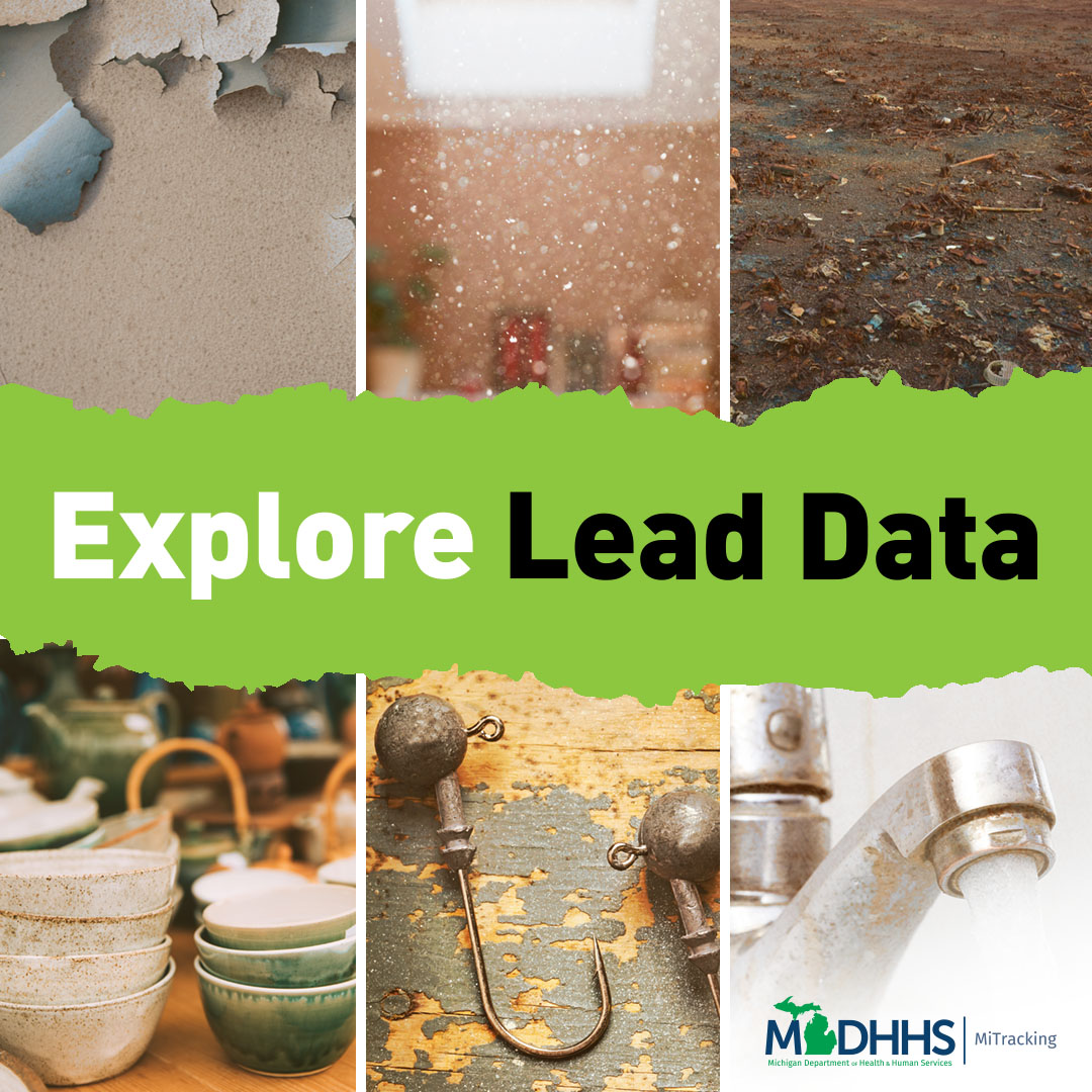 Lead=A... - Michigan Department of Health and Human Services