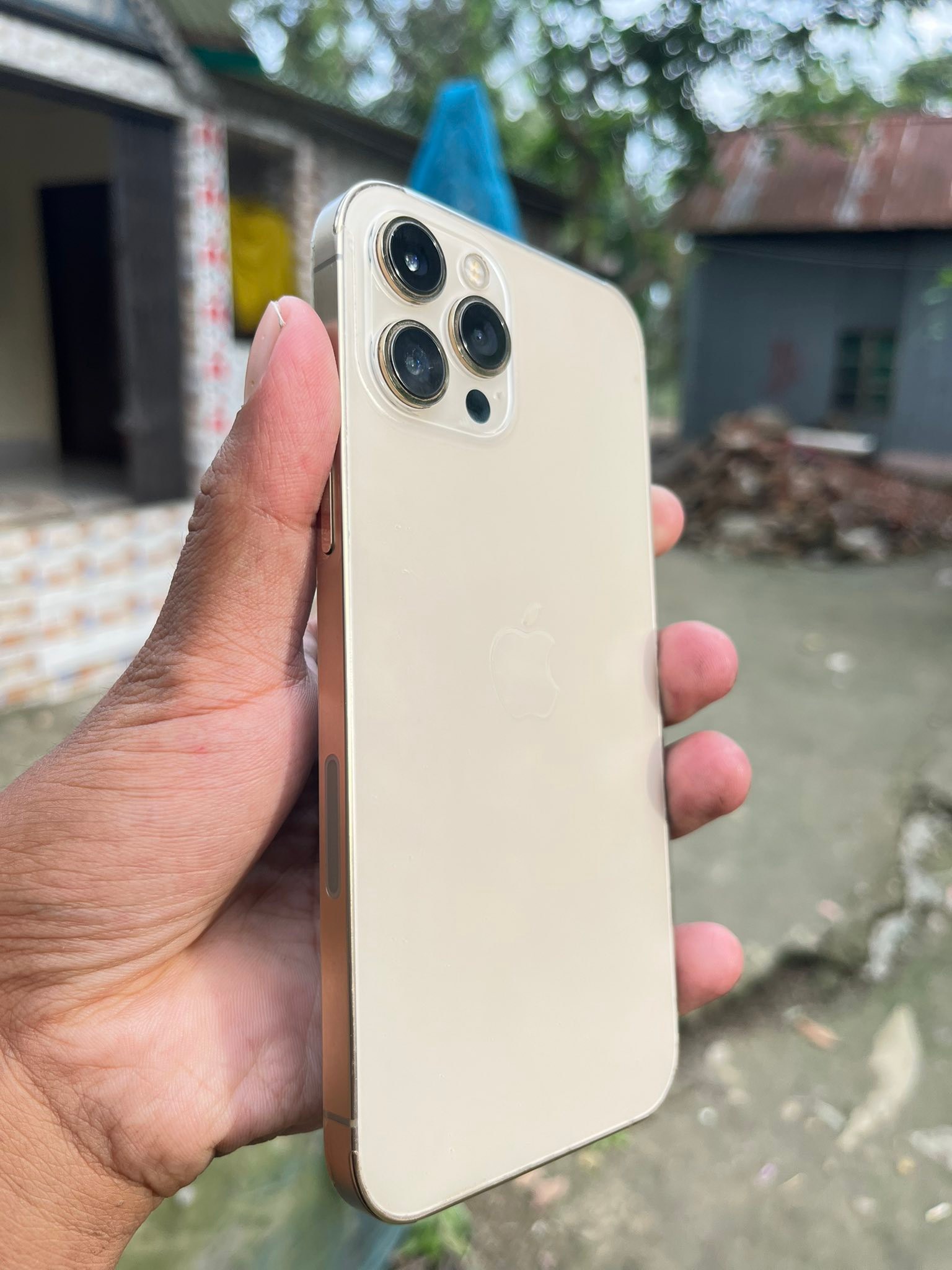 iPhone 12 Pro Max 256GB for sale
