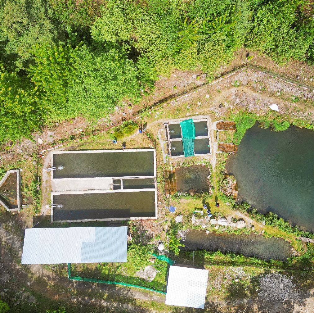 New Trout raceway at Rainbow Farm::Jigaon .. | By Rainbow Farm::Jigaon ...