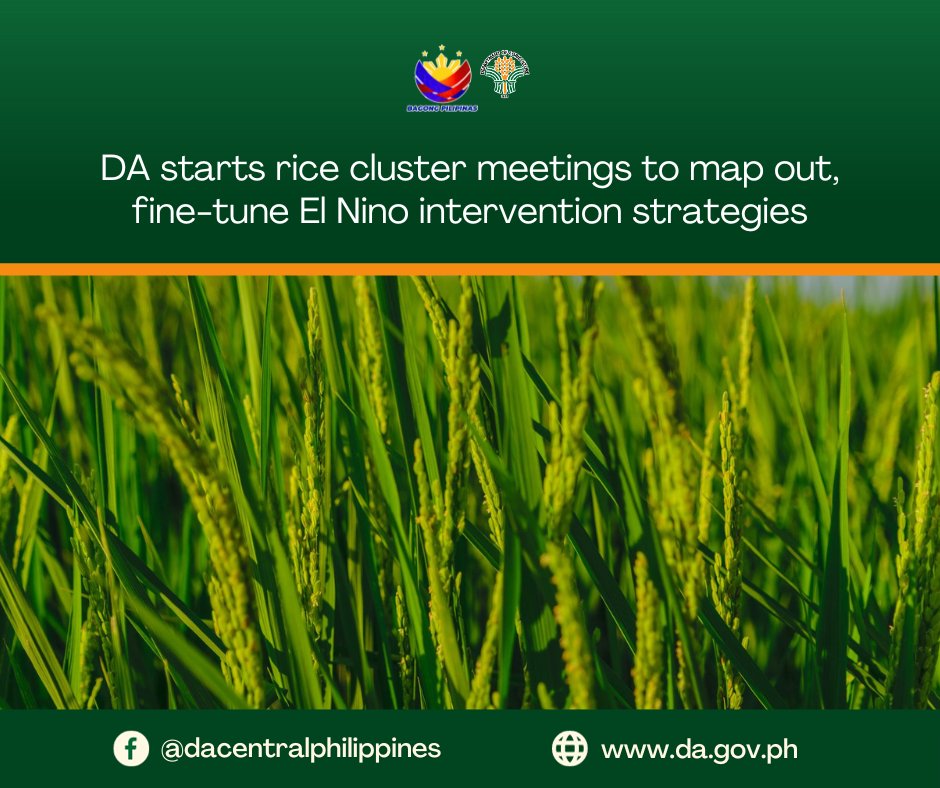 Department - The Department of Agriculture (DA) started this week the ...