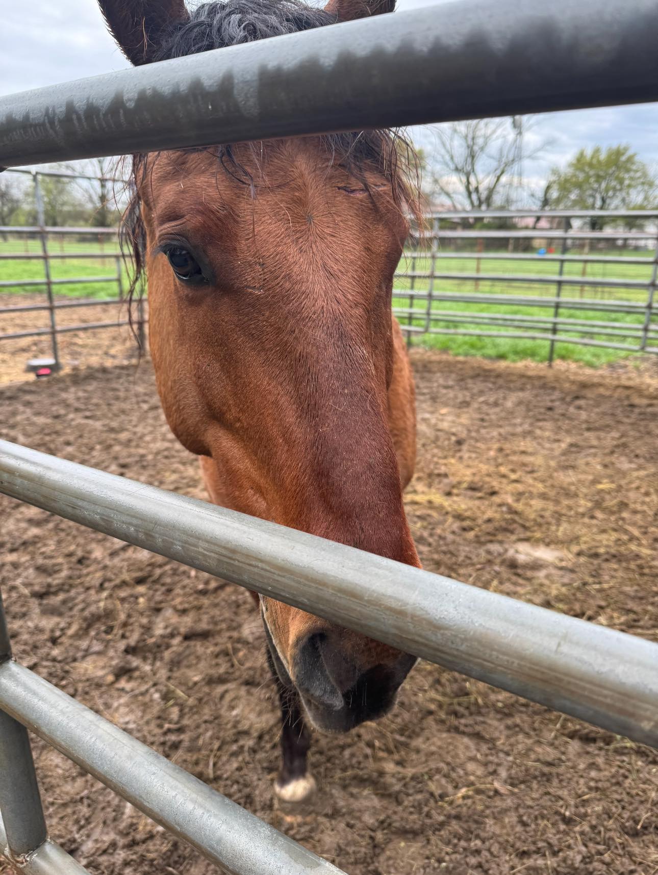 The Waymaker Ranch | Cleburne TX