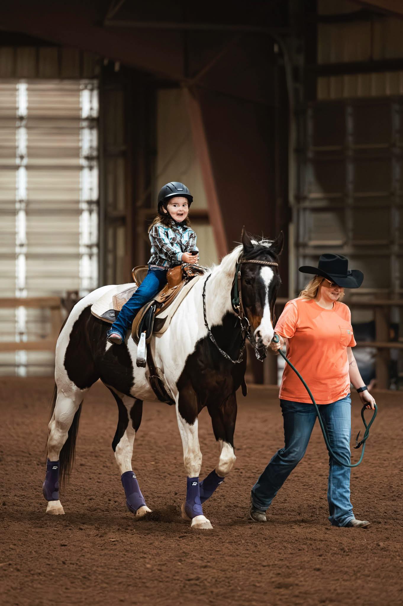 Flag Point Stables | Rexton NB