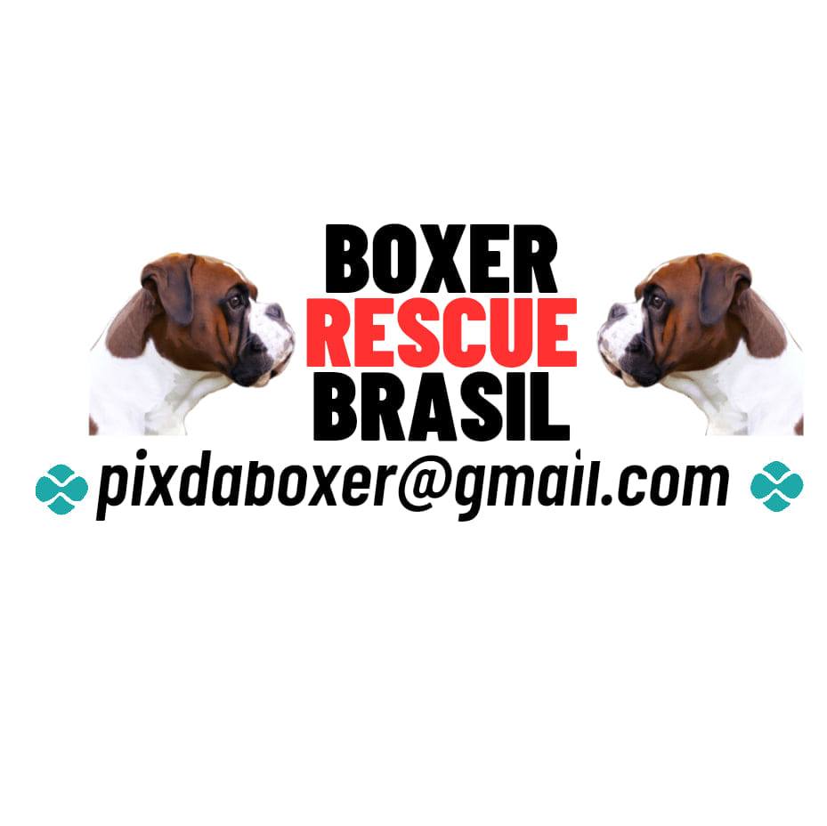 Boxer Rescue