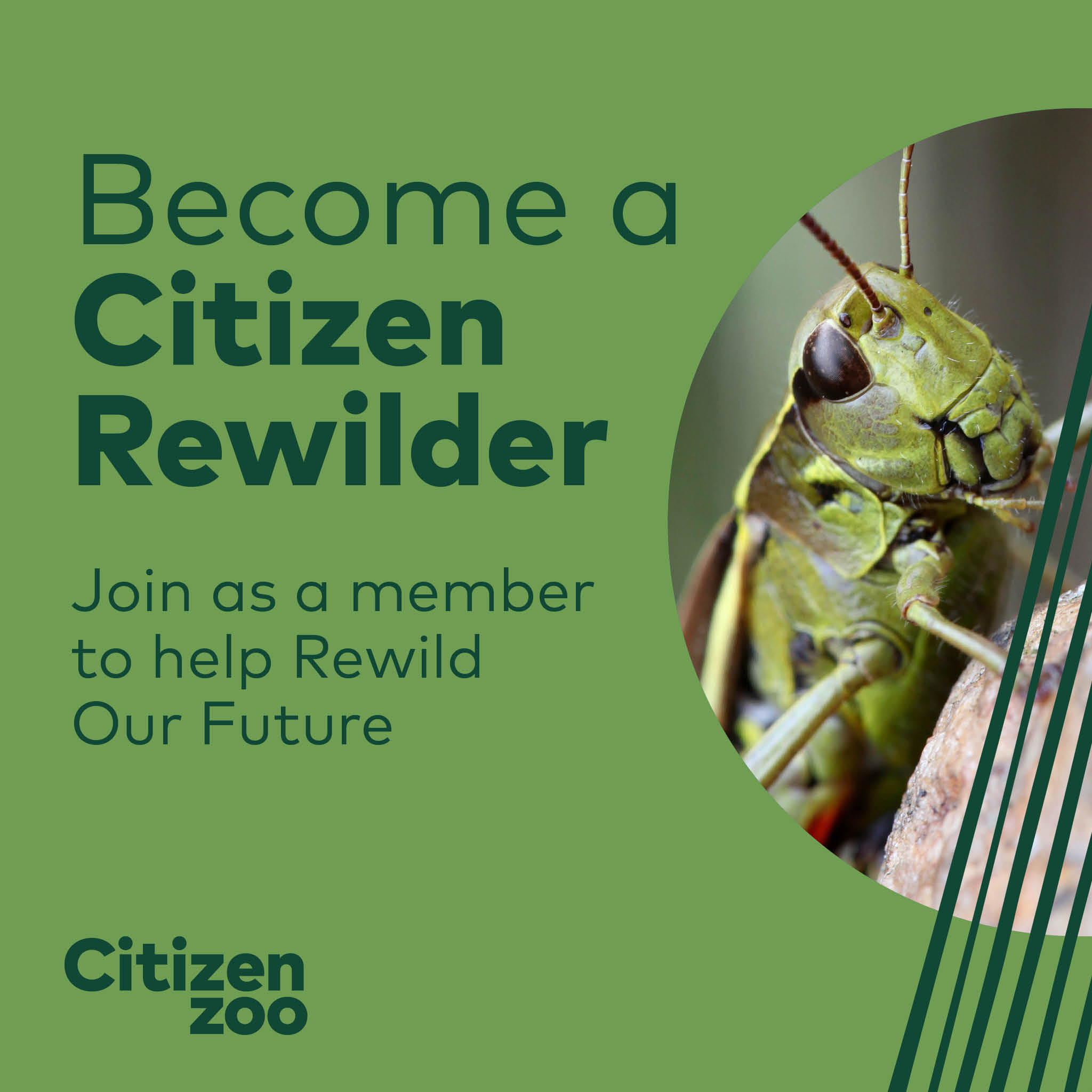 Citizen - Happy Friday everyone! We're on a mission to Rewild Our ...