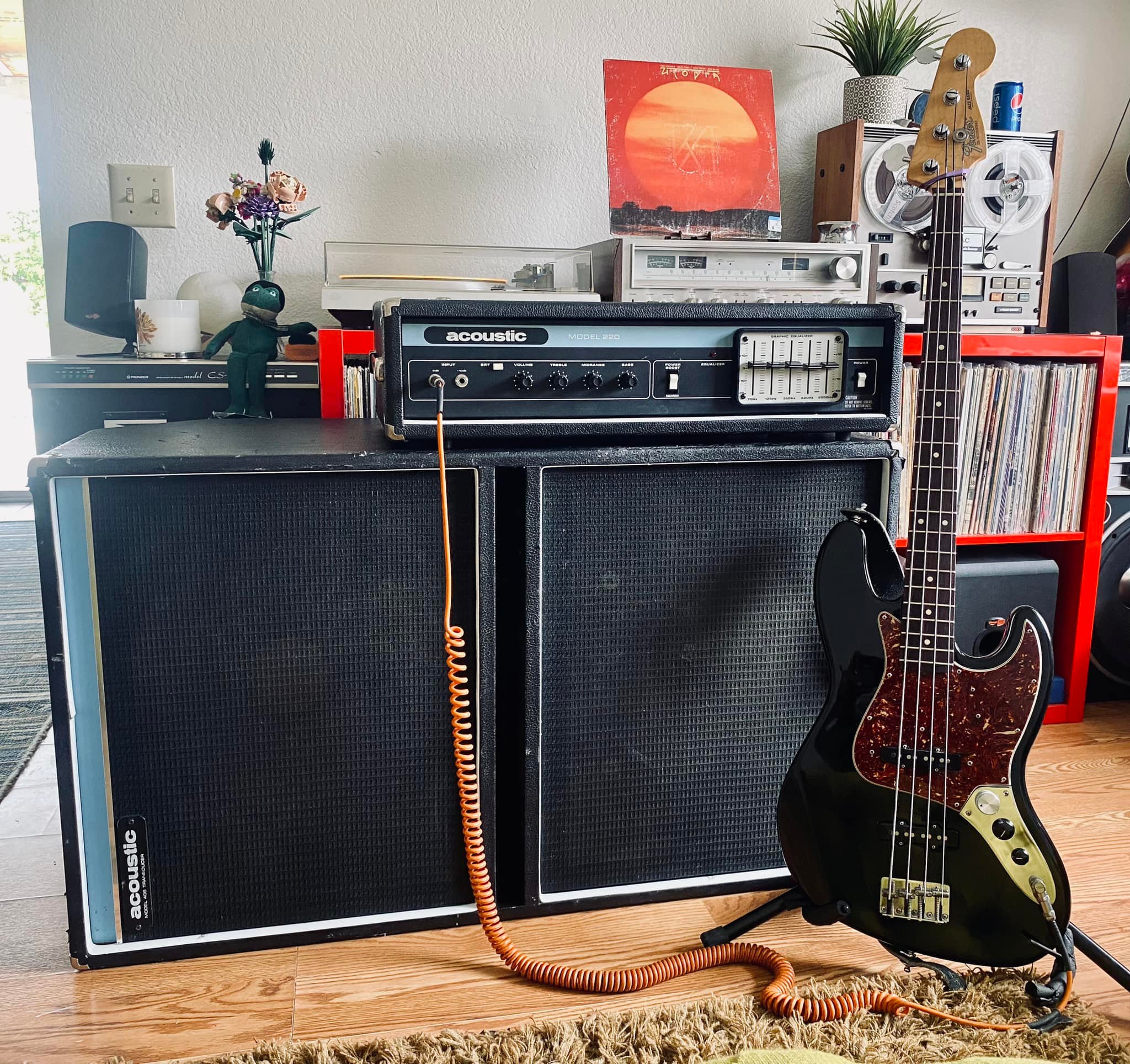 my Acoustic 220 cab 406 killer