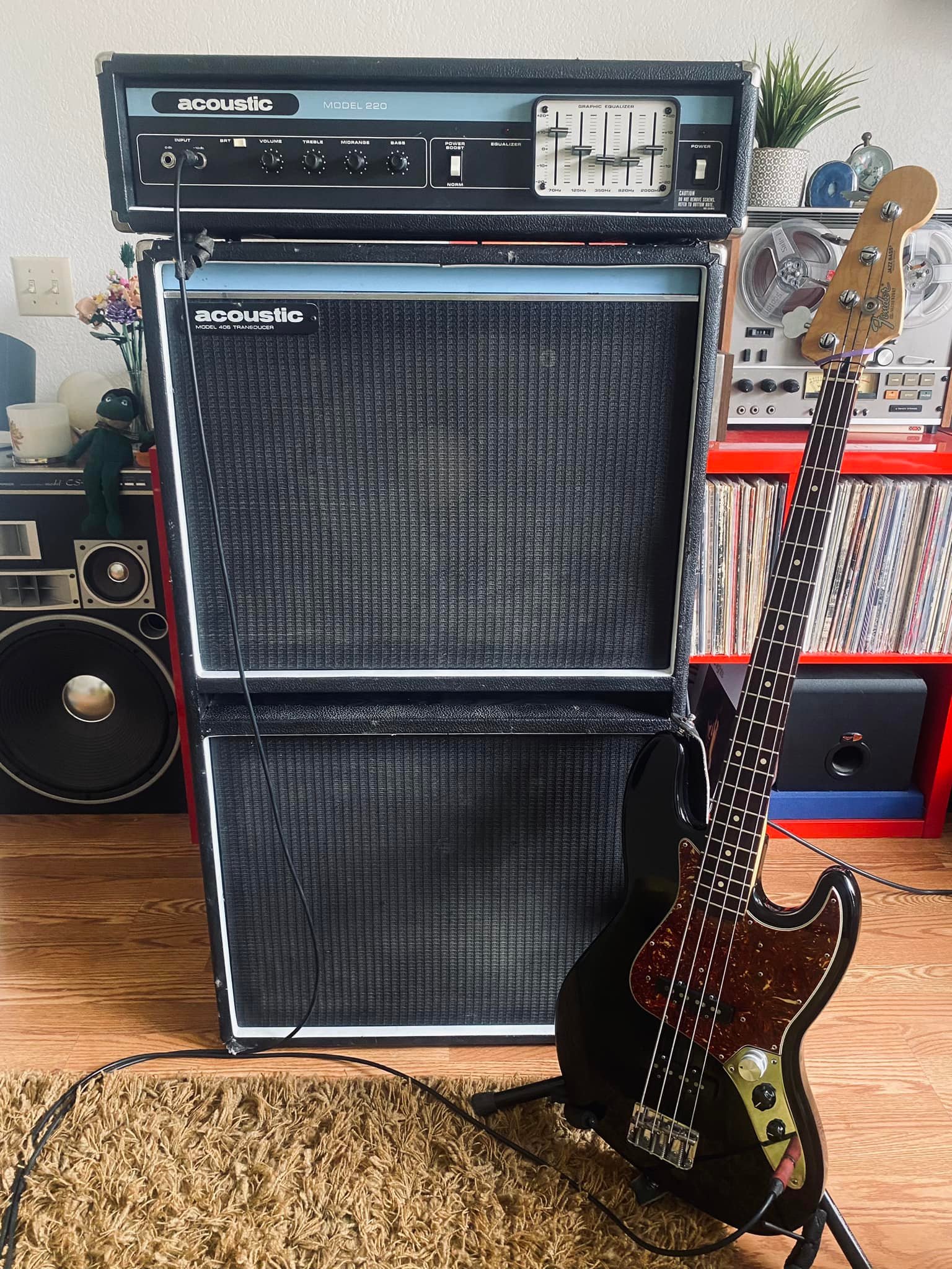 my Acoustic 220 cab 406 killer