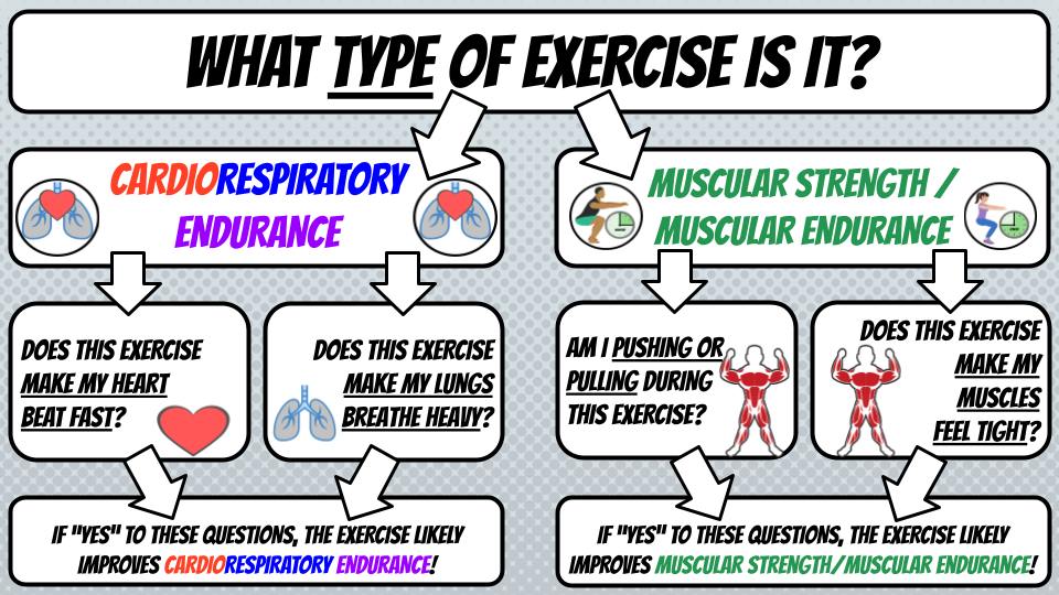 How to Build Cardio Respiratory Endurance: Proven Tips