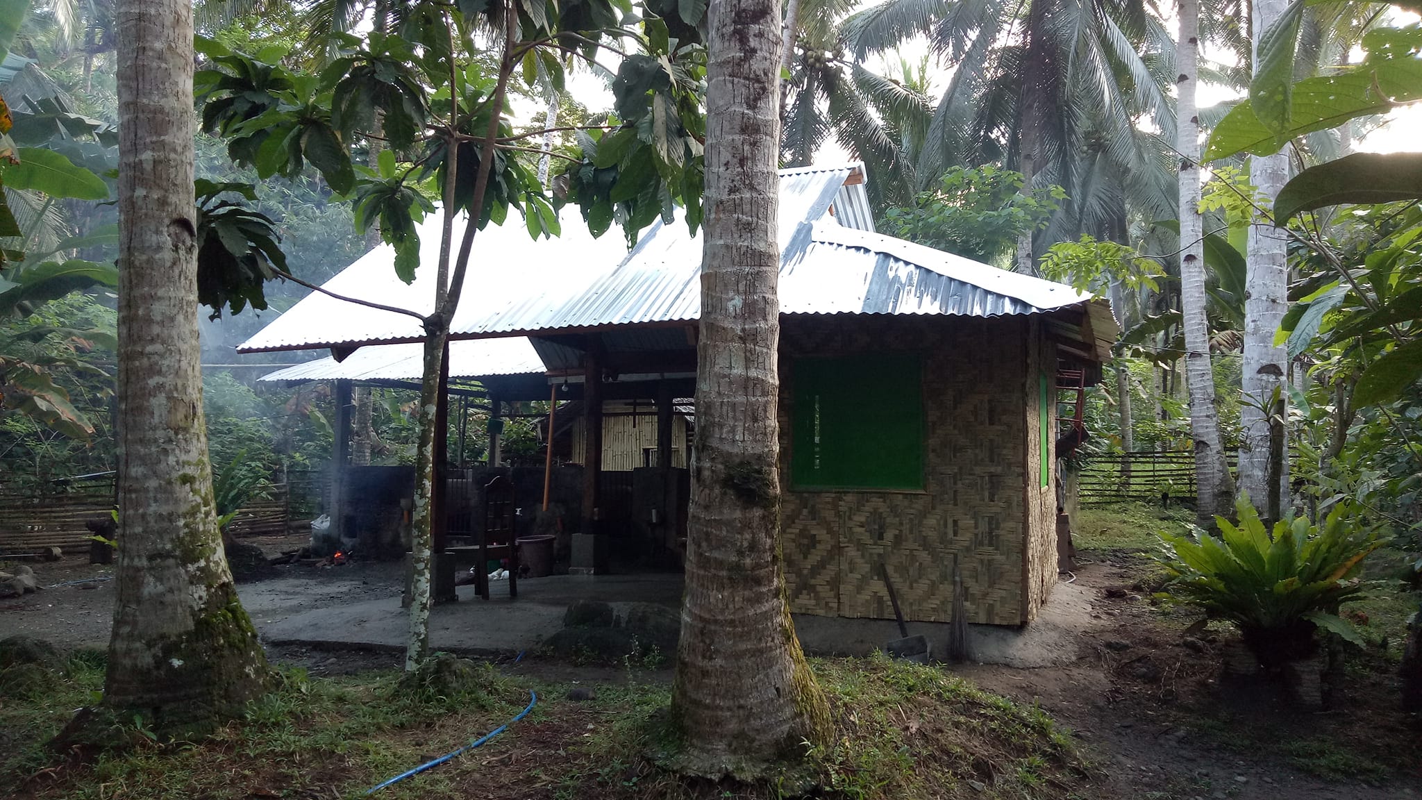 Johnine Basong