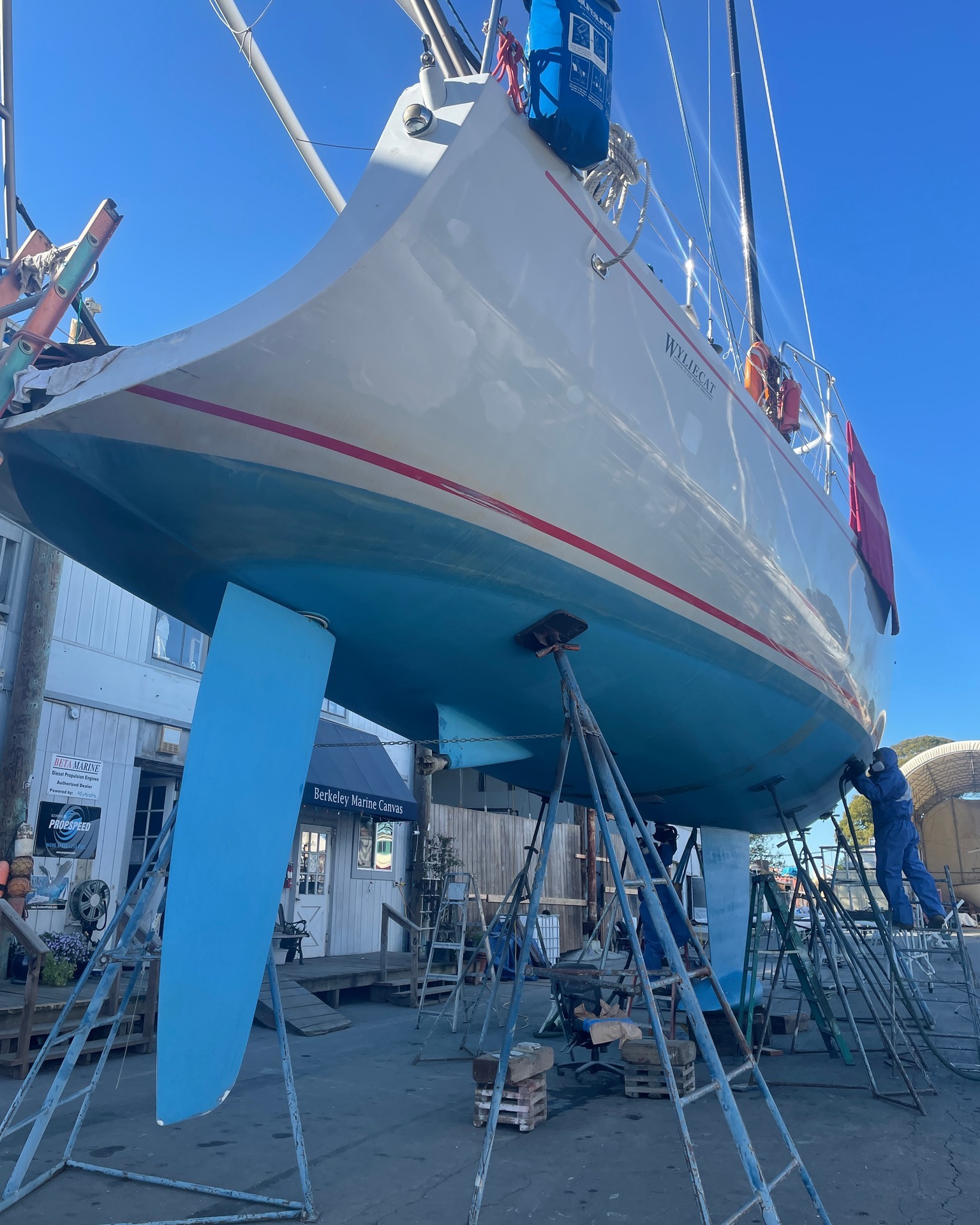 We ️ seeing the incredible... - Berkeley Marine Center