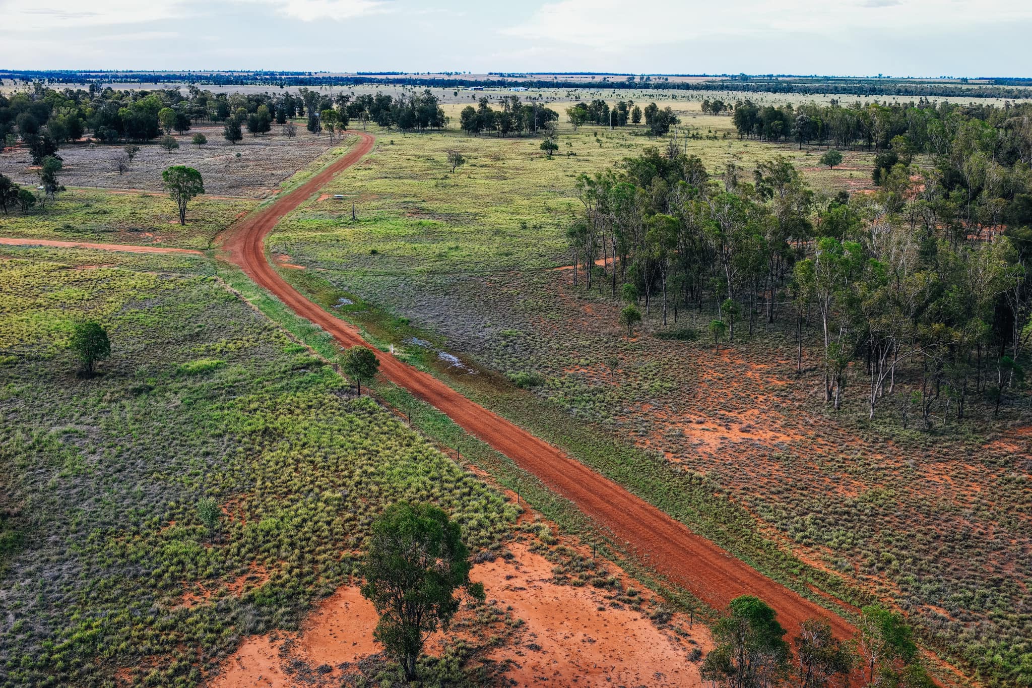 Aliven Farms | Roma QLD