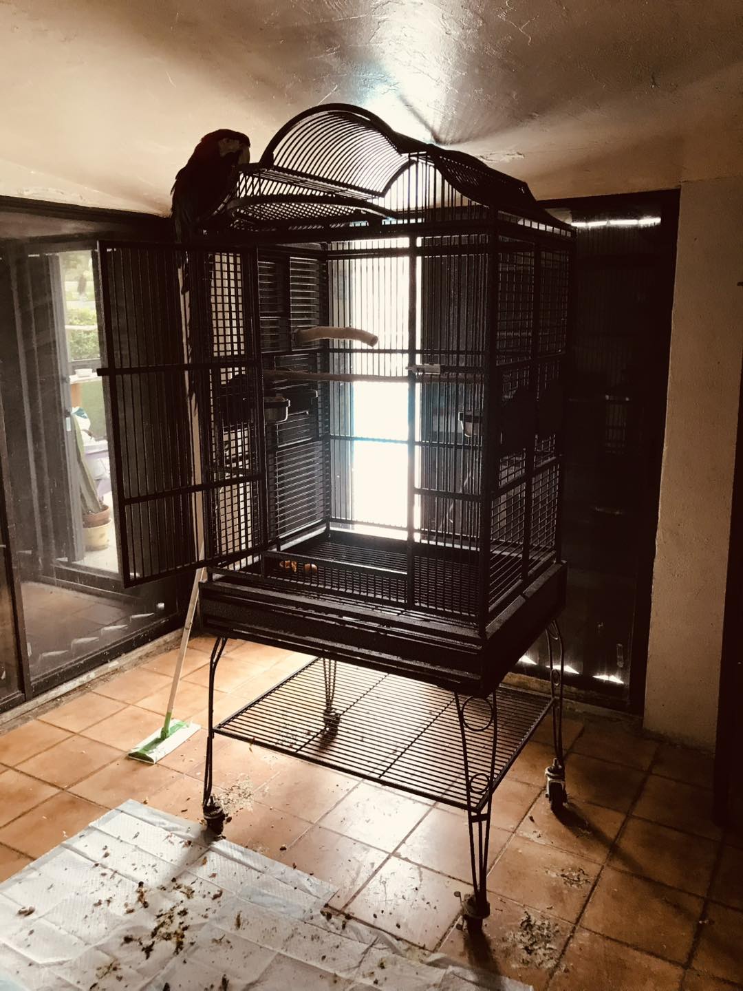 Palm Beach Parrot & Bird Rescue/Sanctuary Of South Florida added a new ... - Parrot Enclosures For Bird Rescue Centers