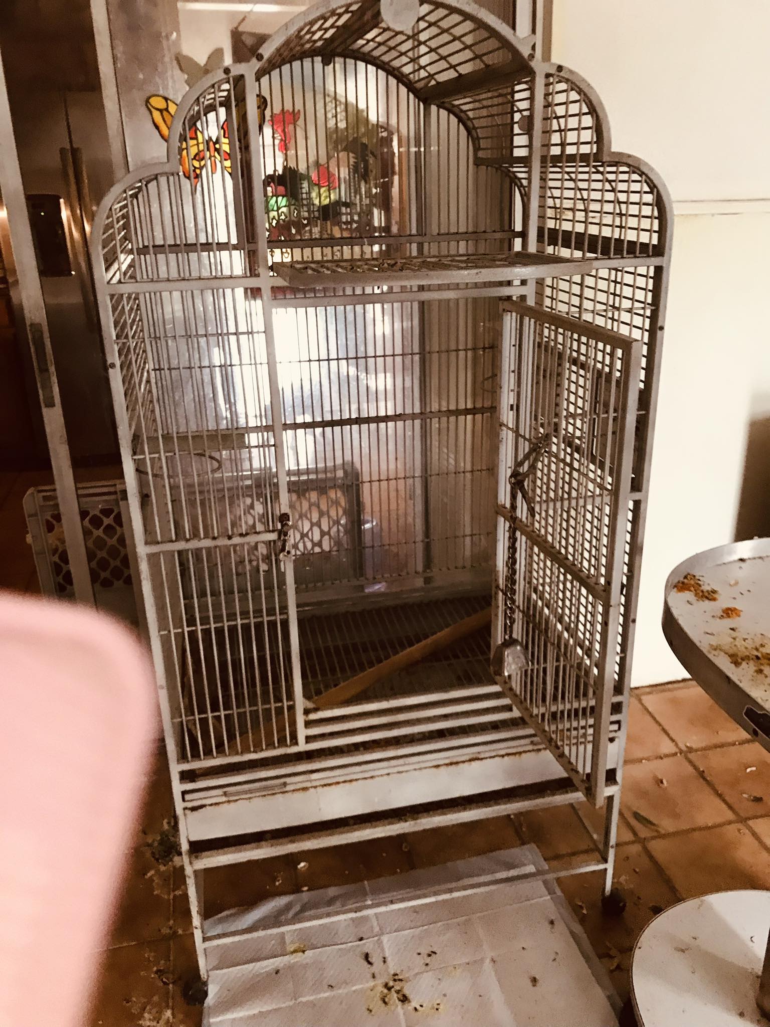 Palm Beach Parrot & Bird Rescue/Sanctuary Of South Florida added a new ...