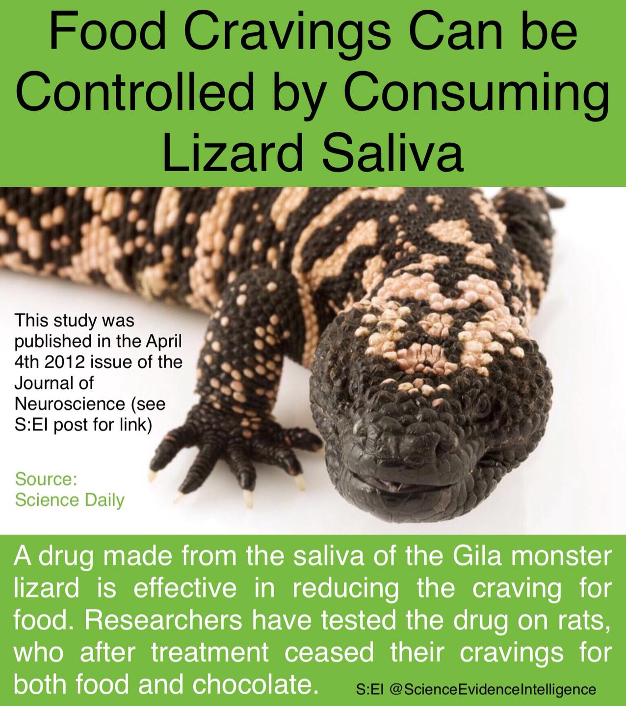 What seems impossible is unfolding in AI Pharma Giants' labs where the Gila Monster is a diet guru. A synthetic version of 