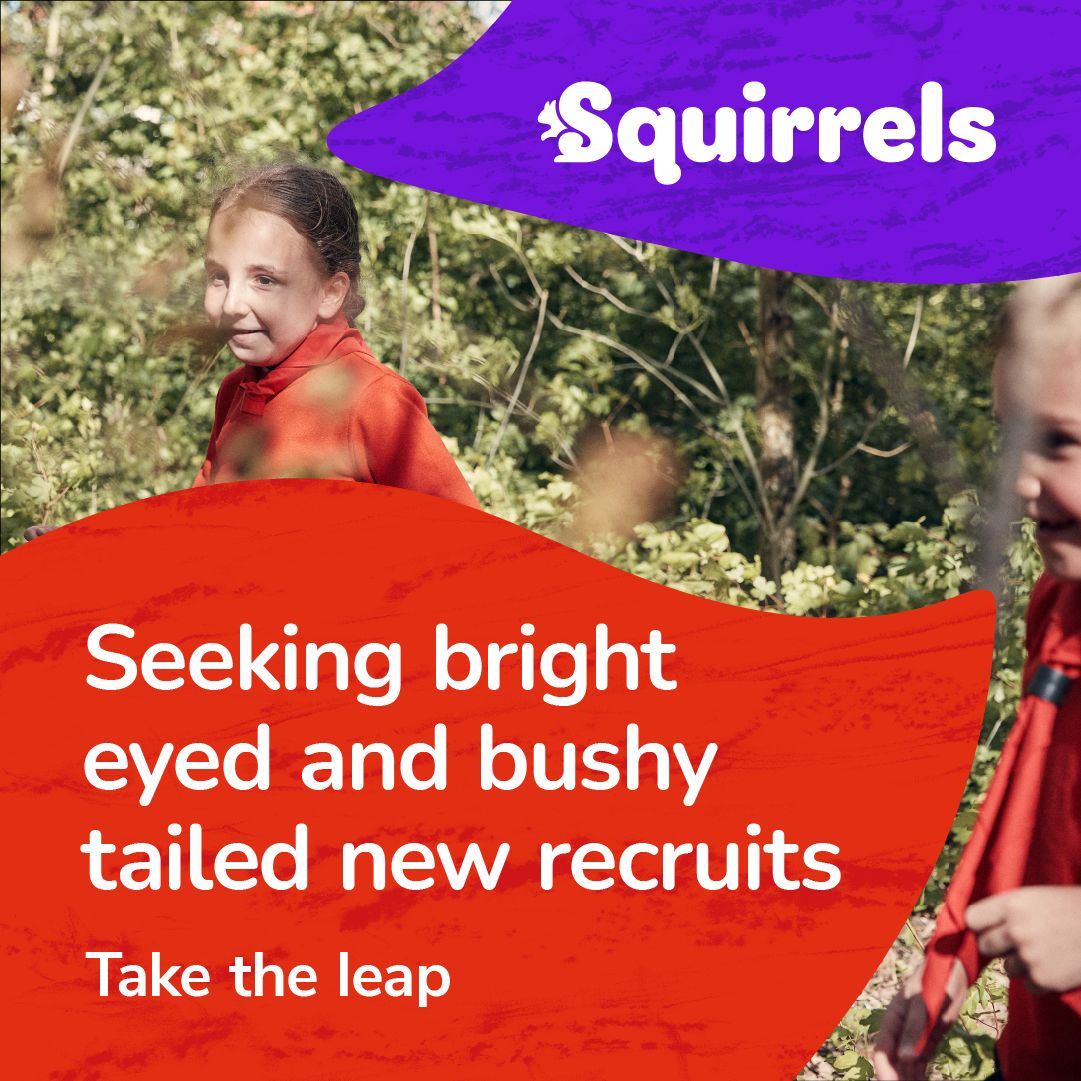 ️Have you... - Brompton & Catterick St Annes Scout Group | Facebook