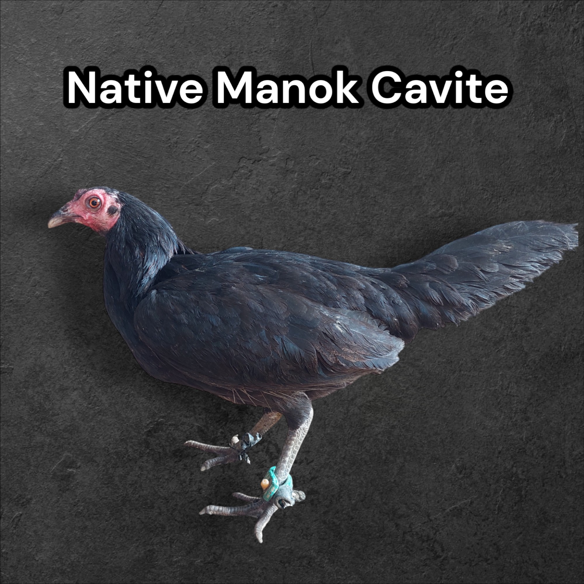 Native Manok Cavite