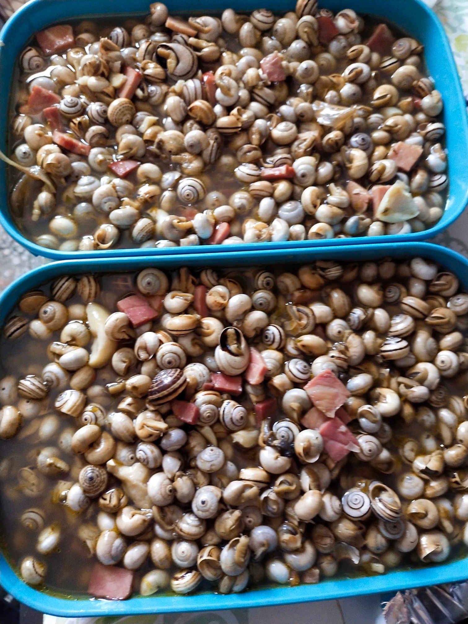Churrasqueira Quim Zé