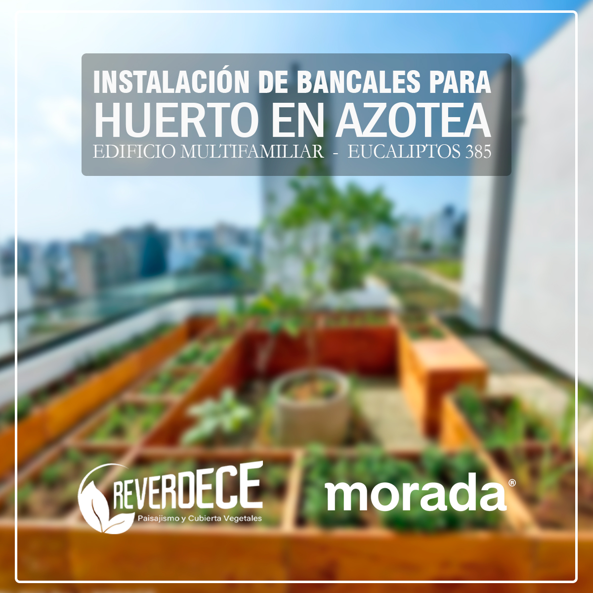 Reverdece Perú - 🌿 HUERTO CON MESAS DE CULTIVO TIPO BANCAL...