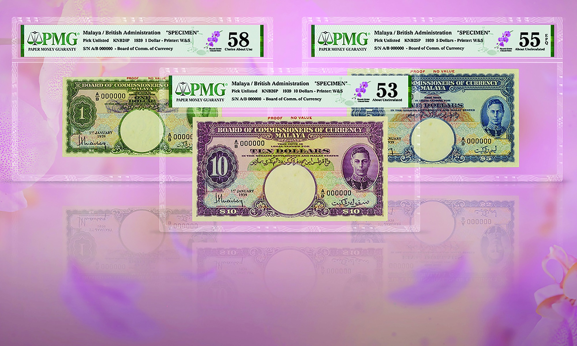 Over 250 banknotes certified... - PMG - Paper Money Guaranty | Facebook