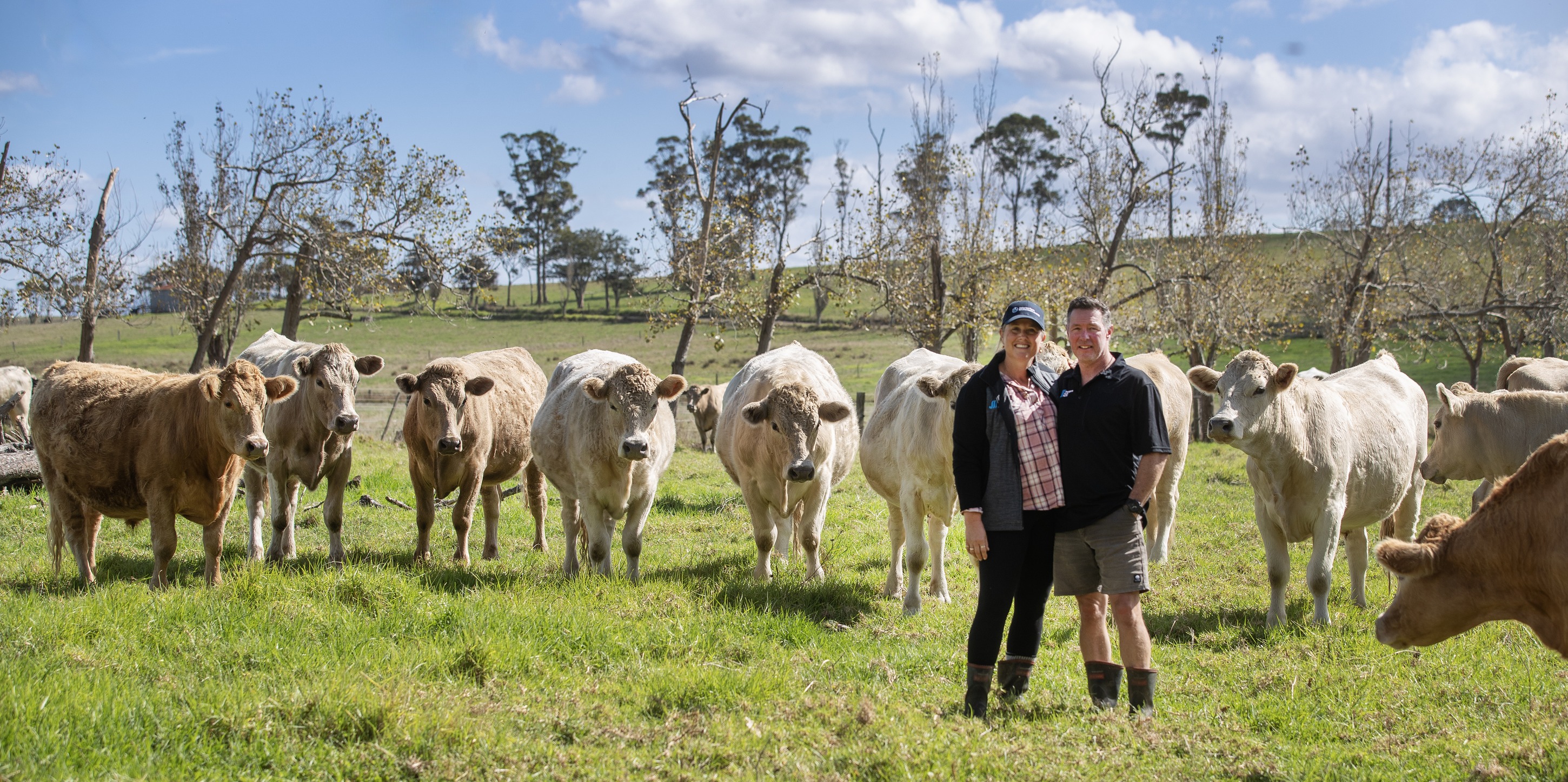 Carrfields Livestock... - Carrfields Livestock Northland
