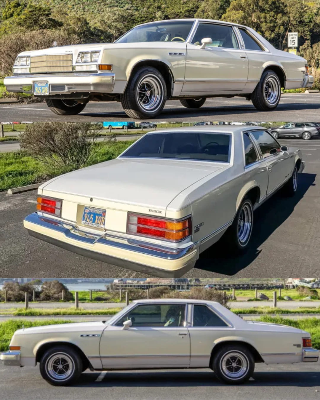 teresa-1979-buick-lesabre-limited-a-true-symbol-of-american-full
