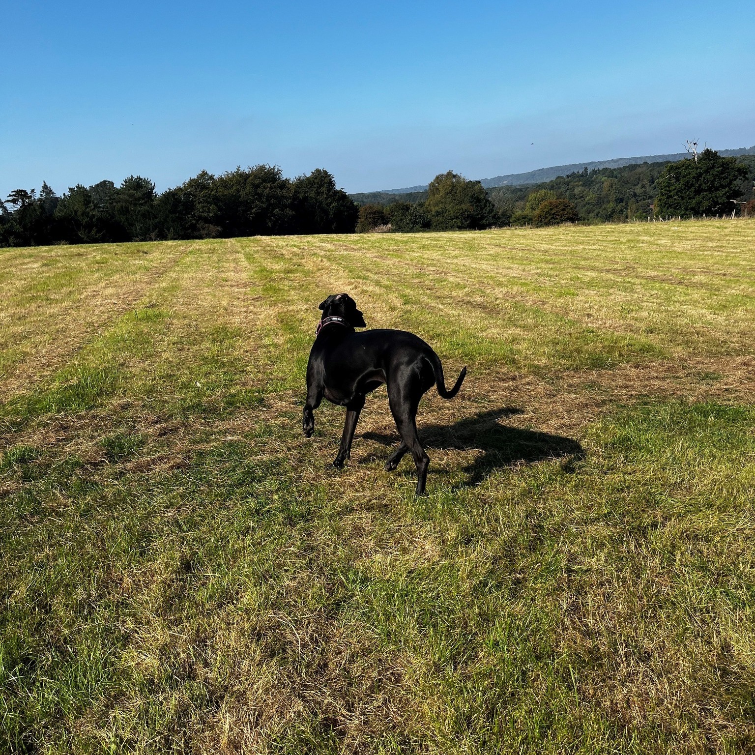 Calder Davis Wealth Management | Reigate