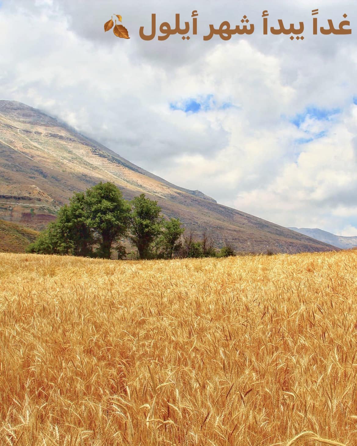 Lebanon - غداً يبدأ شهر أيلول 🍂 إليكم بعض الأمثال والأقاويل اللبنانيّة ...