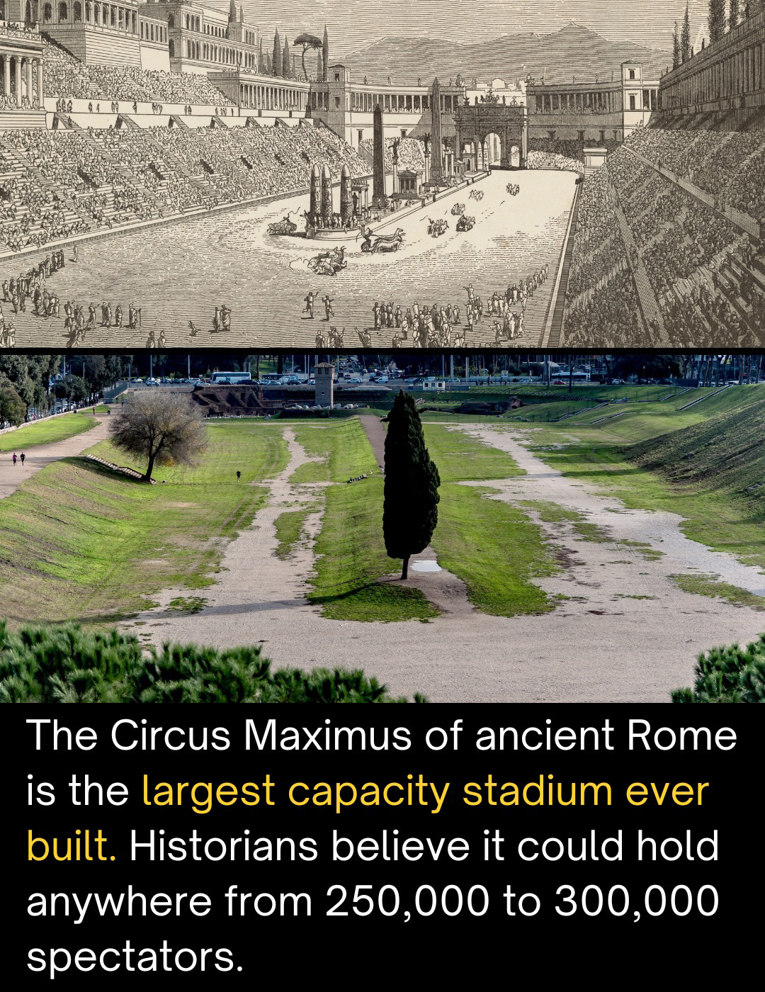 Architecture - For comparison, the average American football stadium ...