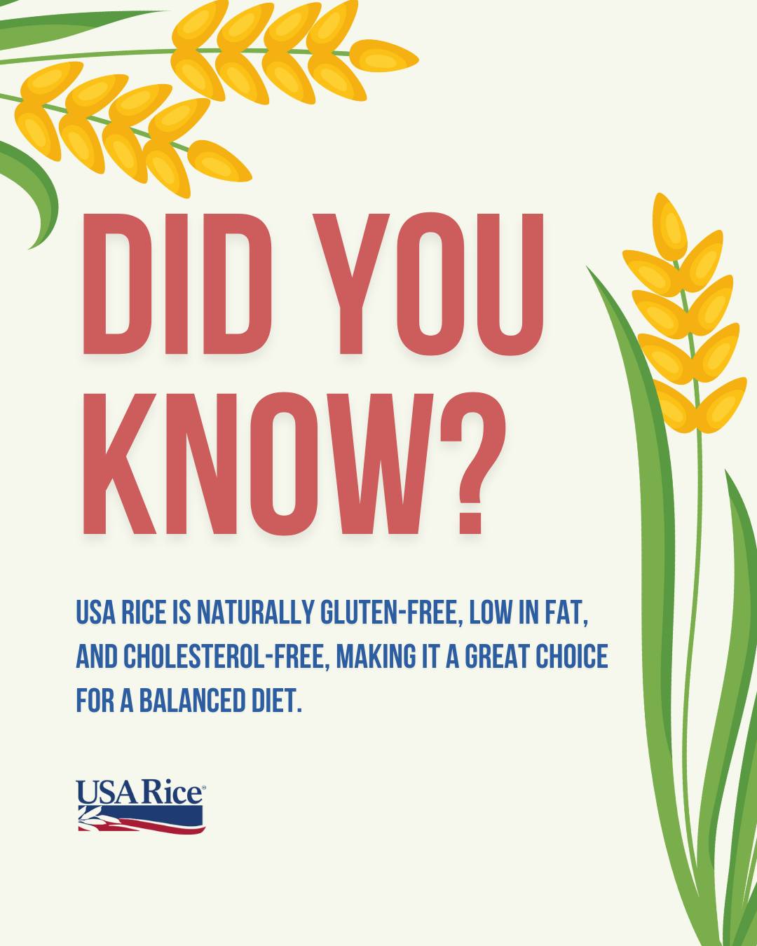 USA - Did you know that USA-grown rice is naturally gluten-free, low in ...