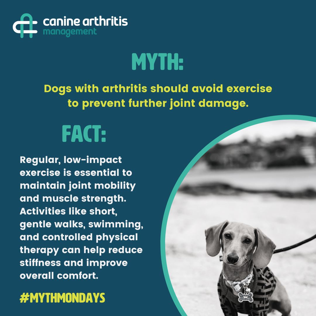 Image showcasing Waves Canine Hydrotherapy - Kent | Dover