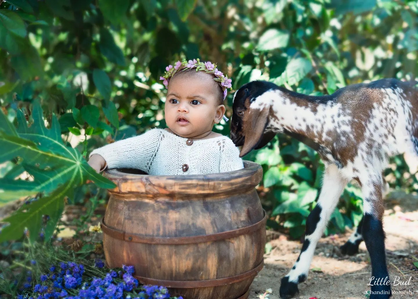 The Little Bud Photography by Chandini Ramesh - 𝐏𝐫𝐞𝐦𝐢𝐮𝐦 𝐃𝐞𝐬𝐭𝐢𝐧𝐚𝐭𝐢𝐨𝐧 𝐭𝐨 ...