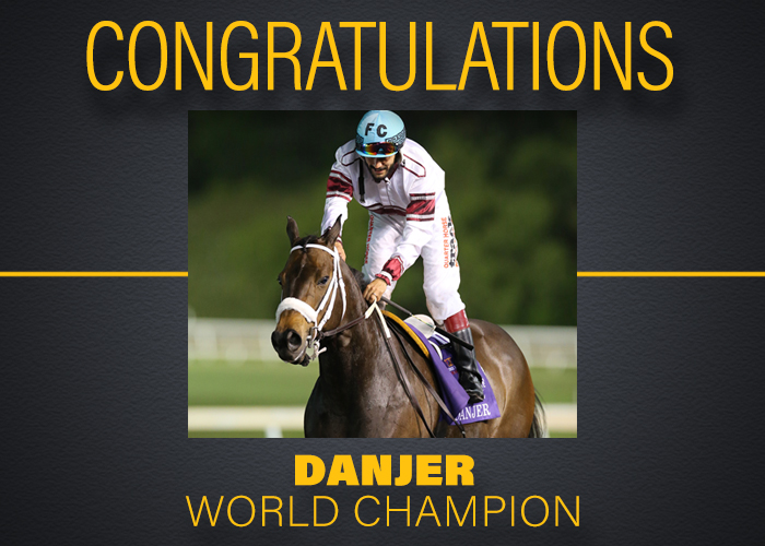 Q-Racing - And finally, the 2023 World Champion Racing American Quarter ...