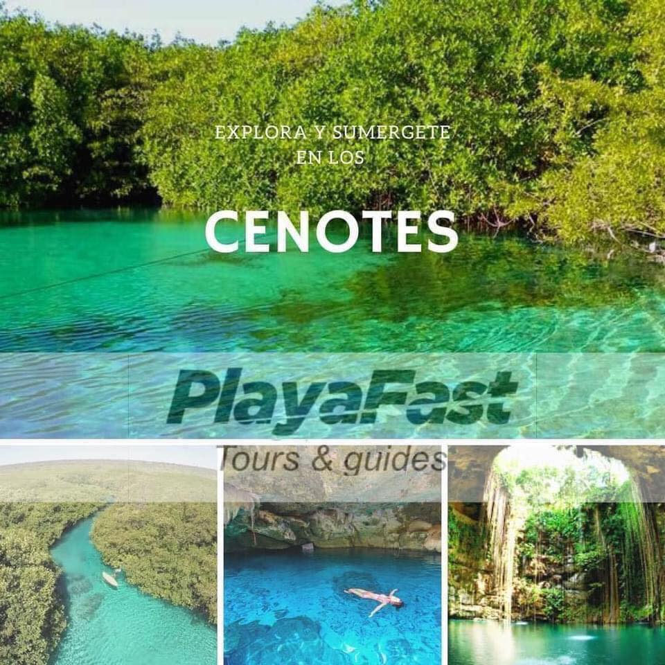 Playa Fast - Tour 3 cenotes: Sagrado, Yum Ha and Jaguar.... | Facebook