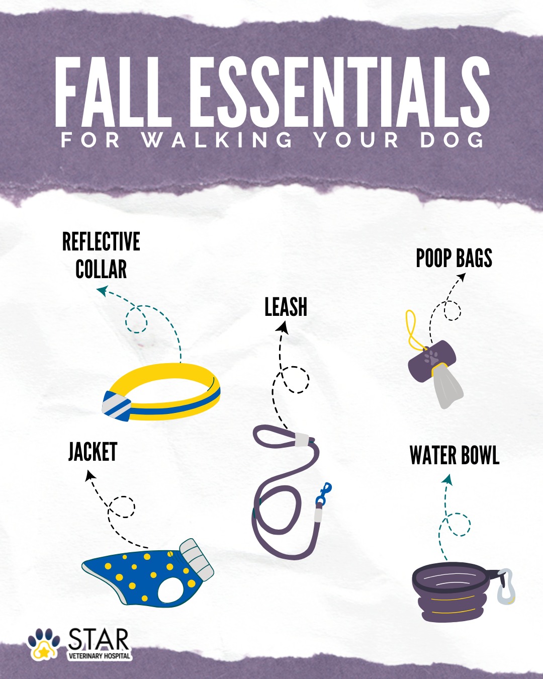 🐾 Fall Walking Essentials! 🍁... - Star Veterinary Hospital | Facebook