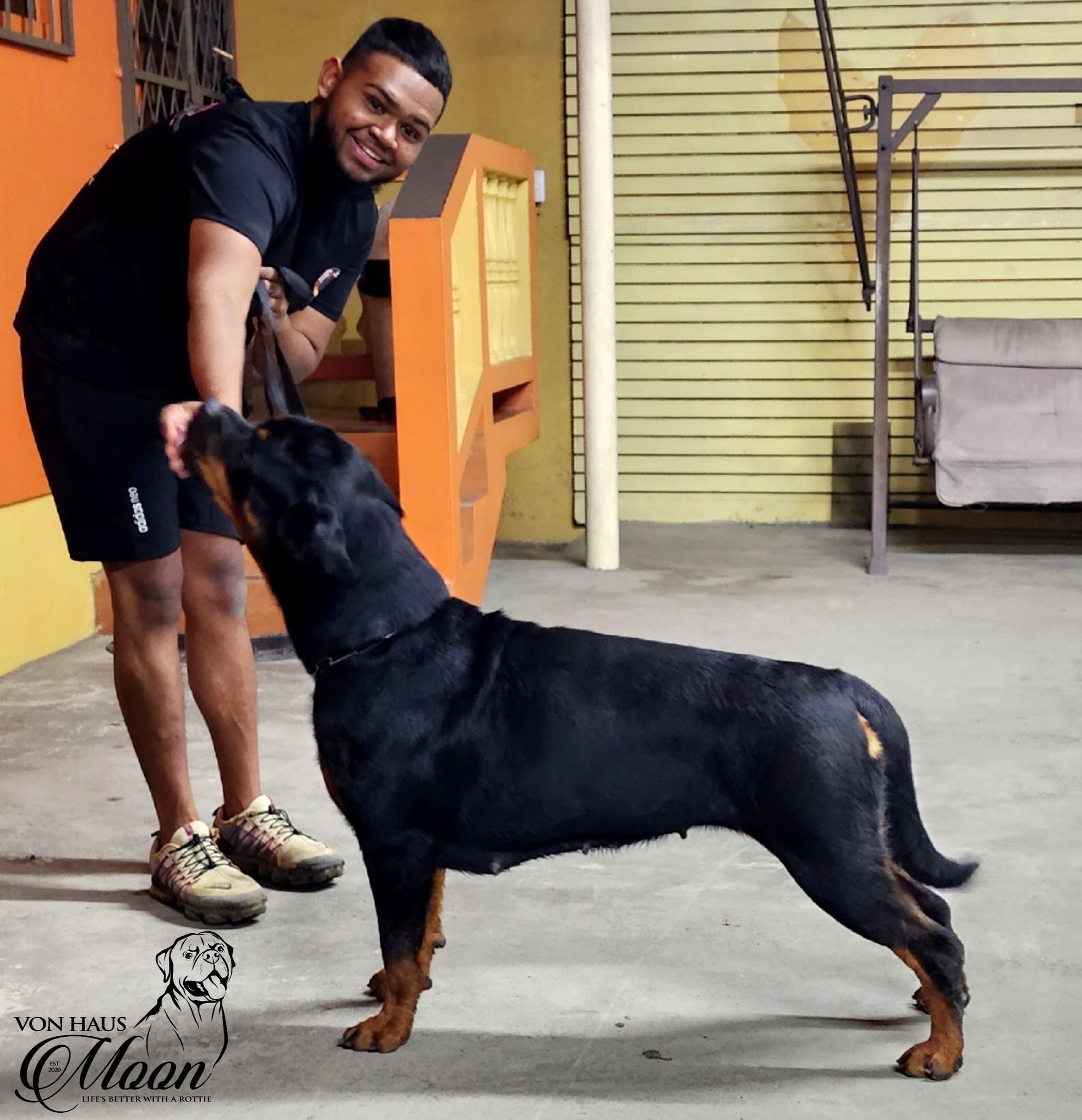 Von Haus Moon Rottweiler... - Von Haus Moon Rottweiler Kennel