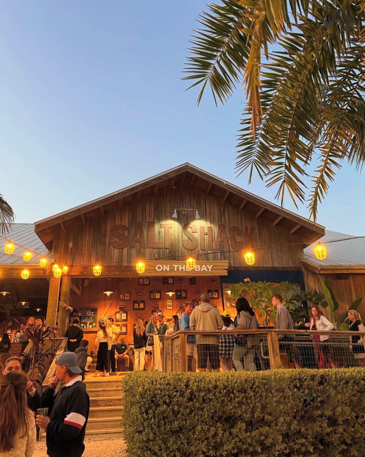 Salt - When the night is as lively as the crowd! Come see why Salt ...