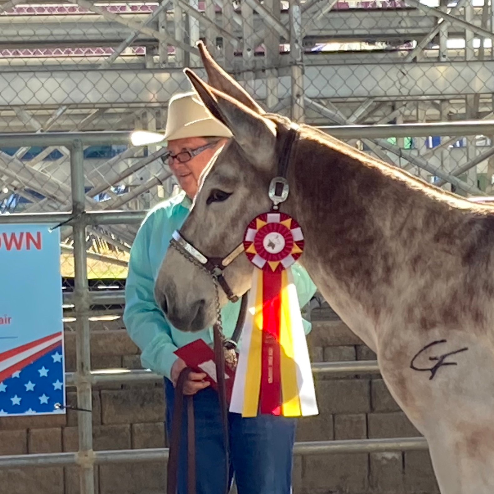 SC State Fair Donkey and Mule Show - Ok my mule and donkey buddies, if ...