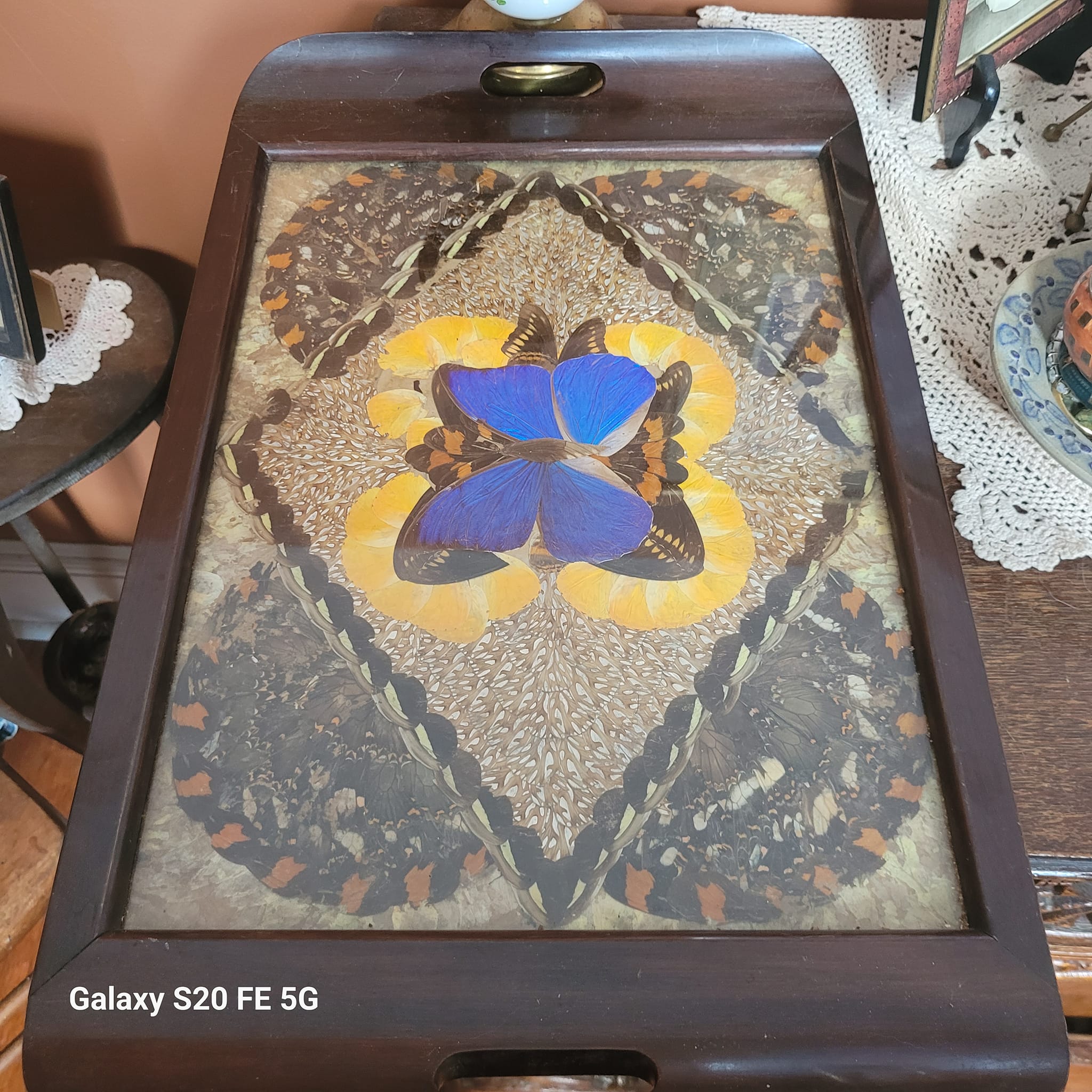 Butterfly wing trays from Venezuela, 1934