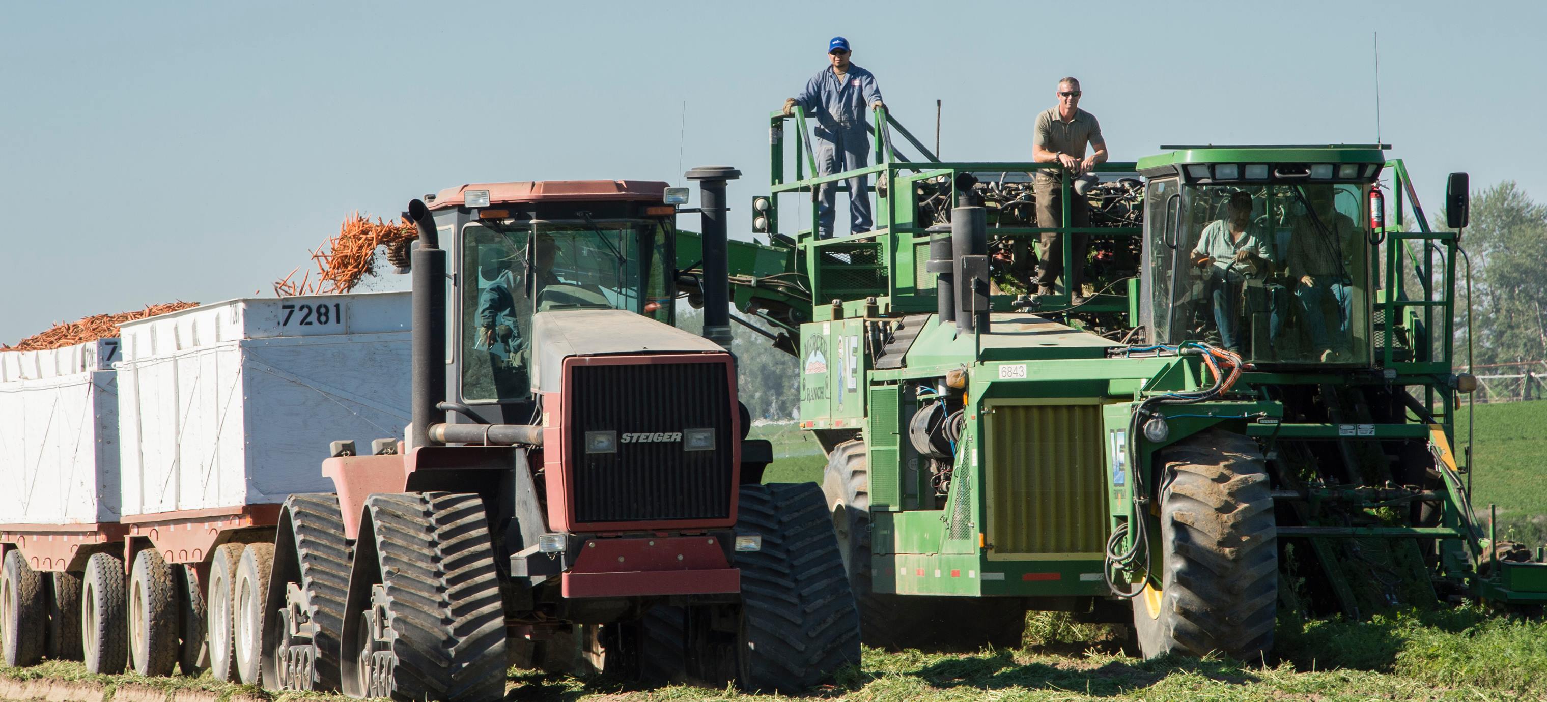 Mercer Ranches Inc. | Alderdale WA